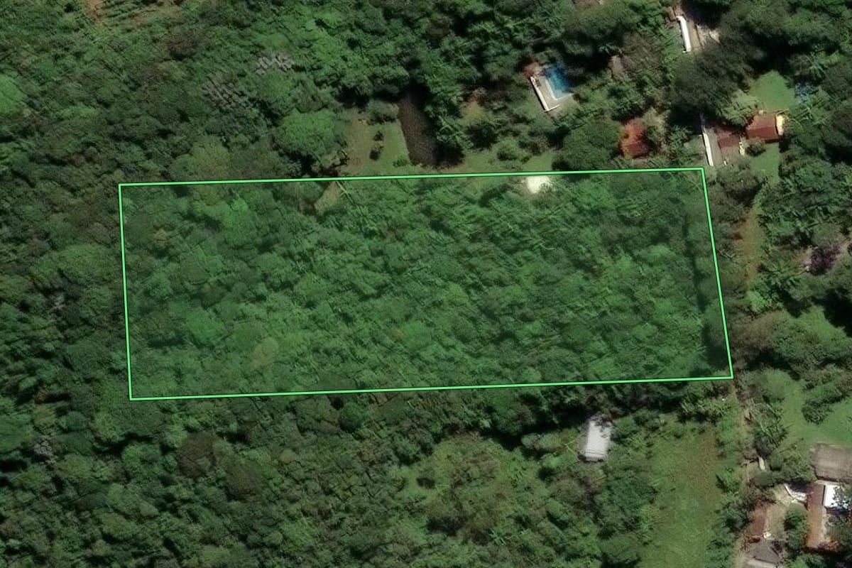 Imagem de satélite do imóvel rural em São Paulo (SP), com o contorno declarado no CAR desenhado por cima.