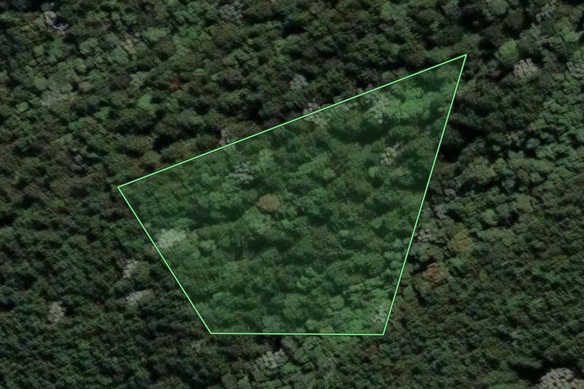 Imagem de satélite do imóvel rural em São Paulo (SP), com o contorno declarado no CAR desenhado por cima.