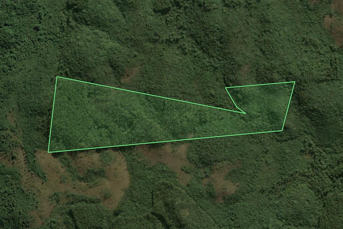 Imagem de satélite do imóvel rural em São Paulo (SP), com o contorno declarado no CAR desenhado por cima.