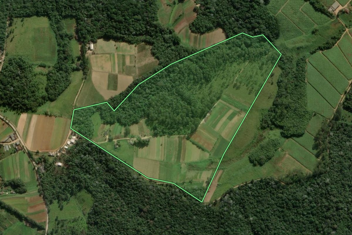 Imagem de satélite do imóvel rural em São Paulo (SP), com o contorno declarado no CAR desenhado por cima.