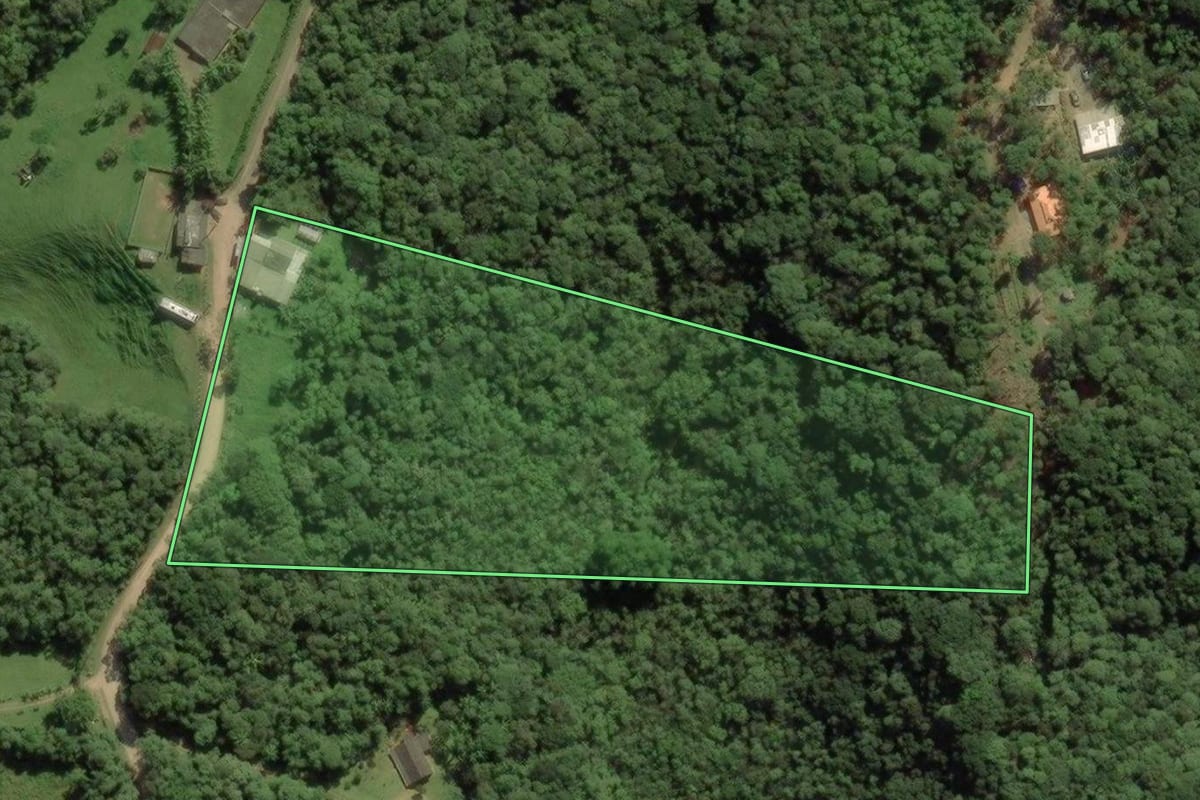 Imagem de satélite do imóvel rural em São Paulo (SP), com o contorno declarado no CAR desenhado por cima.