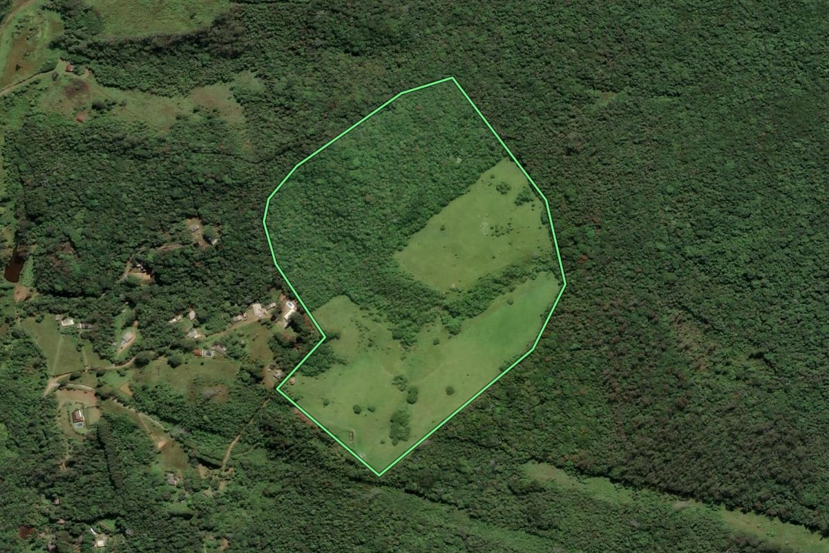Imagem de satélite do imóvel rural em São Paulo (SP), com o contorno declarado no CAR desenhado por cima.
