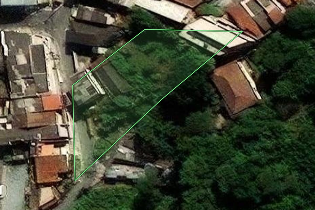 Imagem de satélite do imóvel rural em São Paulo (SP), com o contorno declarado no CAR desenhado por cima.