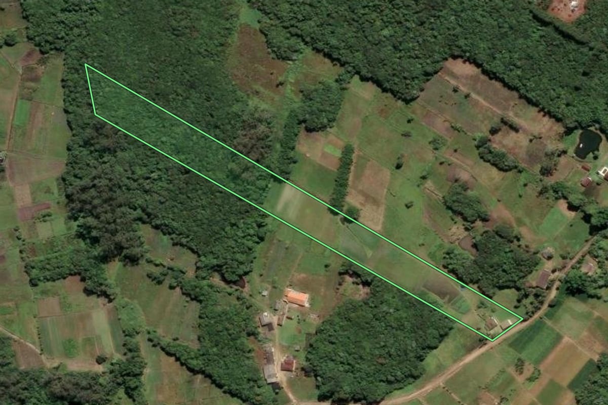 Imagem de satélite do imóvel rural em São Paulo (SP), com o contorno declarado no CAR desenhado por cima.
