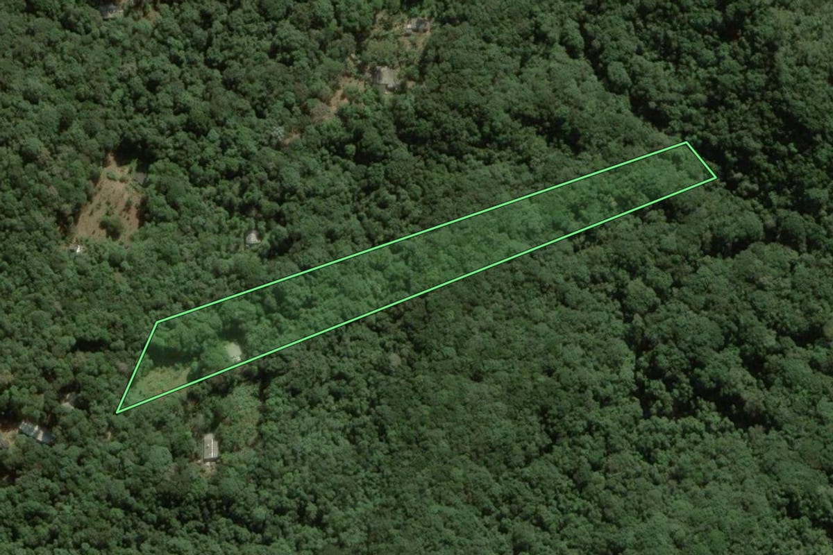 Imagem de satélite do imóvel rural em São Paulo (SP), com o contorno declarado no CAR desenhado por cima.