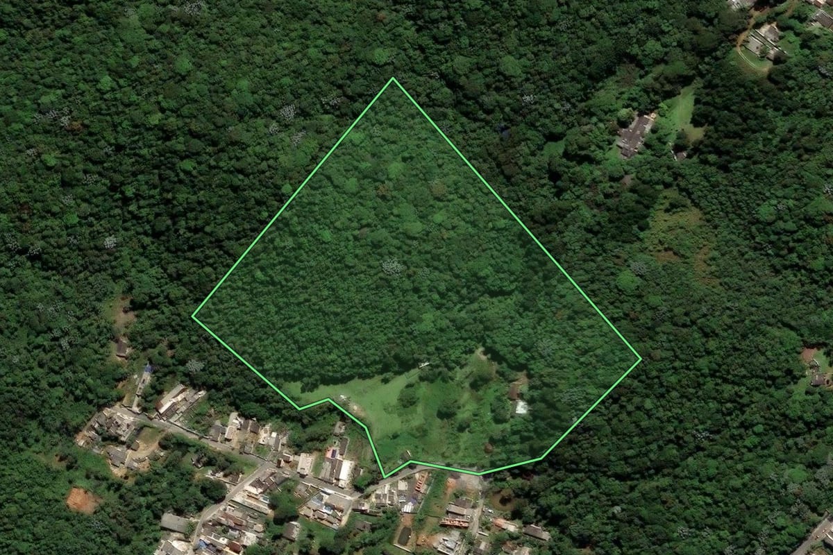 Imagem de satélite do imóvel rural em São Paulo (SP), com o contorno declarado no CAR desenhado por cima.