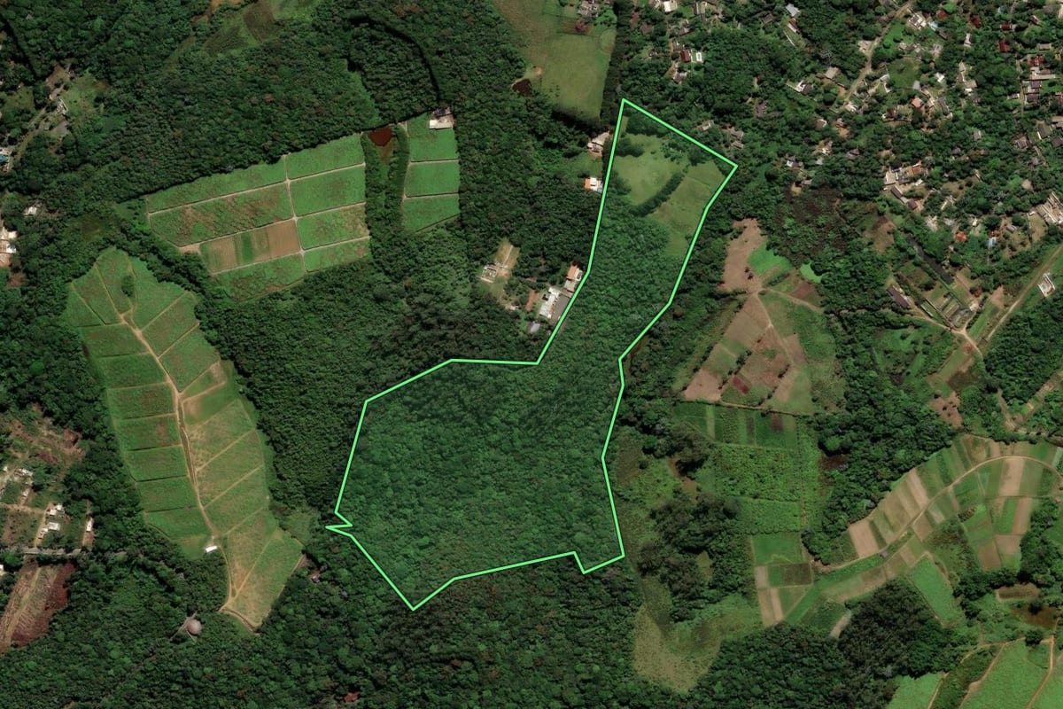 Imagem de satélite do imóvel rural em São Paulo (SP), com o contorno declarado no CAR desenhado por cima.