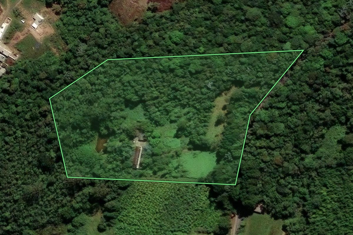 Imagem de satélite do imóvel rural em São Paulo (SP), com o contorno declarado no CAR desenhado por cima.