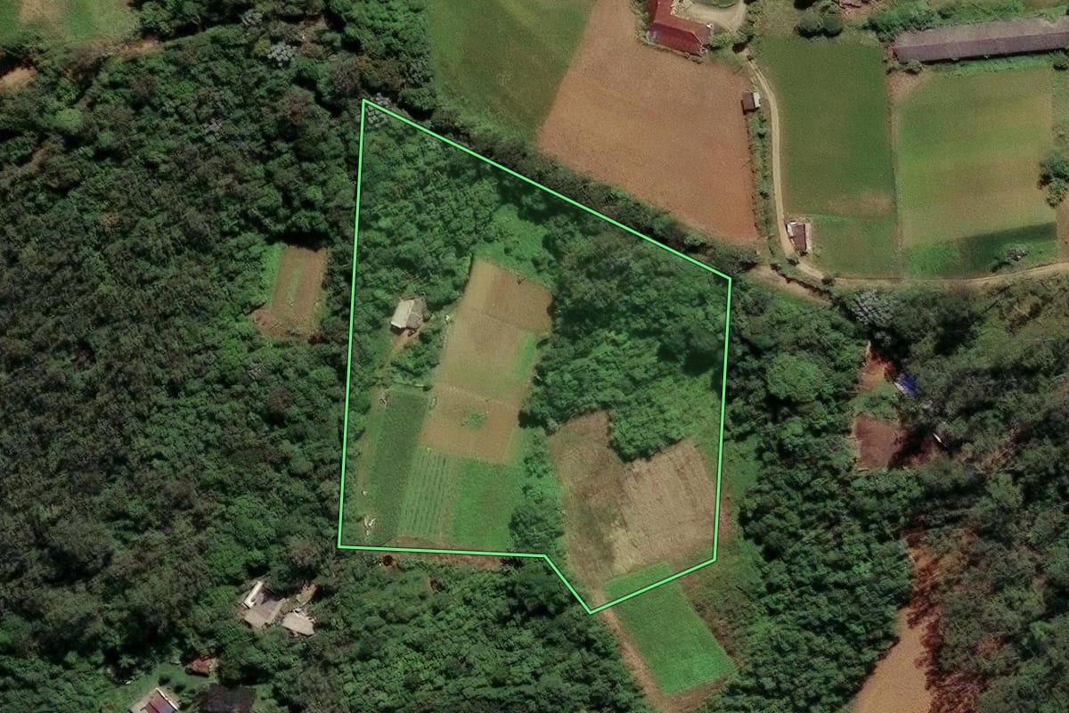 Imagem de satélite do imóvel rural em São Paulo (SP), com o contorno declarado no CAR desenhado por cima.