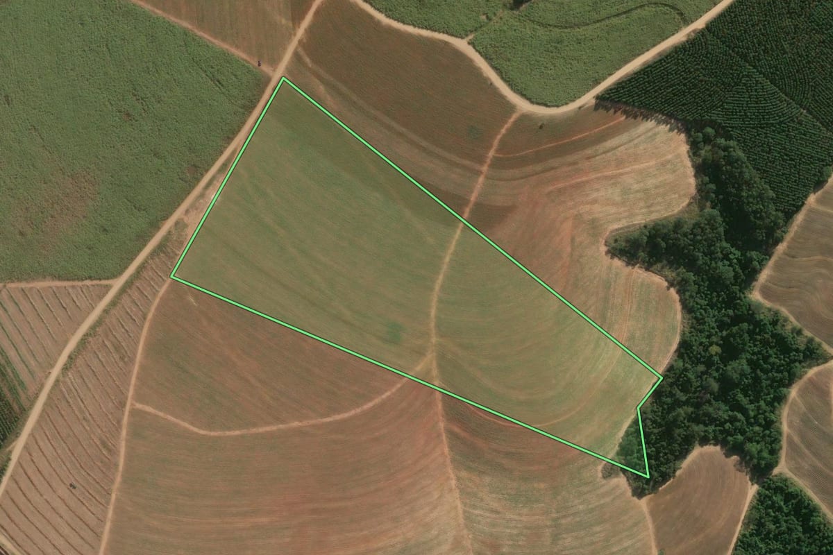 Imagem de satélite do imóvel rural em São Pedro (SP), com o contorno declarado no CAR desenhado por cima.