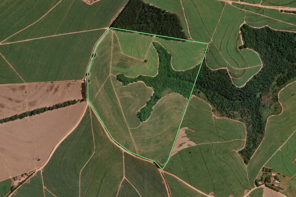 Imagem de satélite do imóvel rural em São Pedro (SP), com o contorno declarado no CAR desenhado por cima.