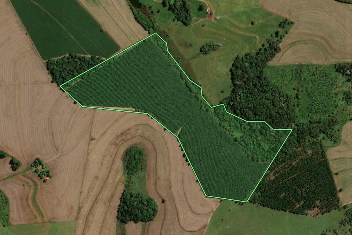 Imagem de satélite do imóvel rural em São Pedro (SP), com o contorno declarado no CAR desenhado por cima.