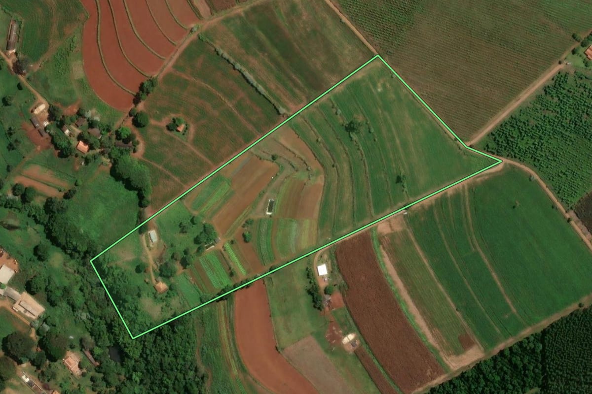 Imagem de satélite do imóvel rural em São Pedro (SP), com o contorno declarado no CAR desenhado por cima.