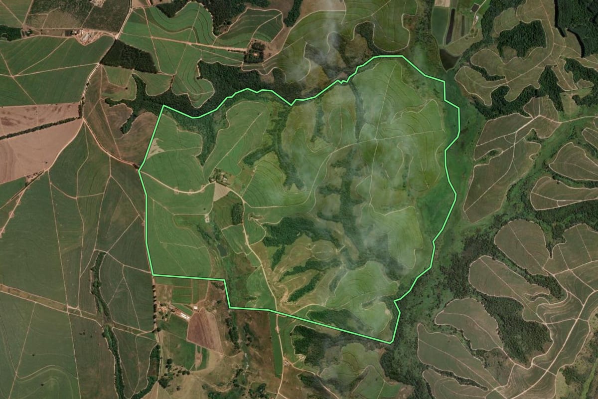 Imagem de satélite do imóvel rural em São Pedro (SP), com o contorno declarado no CAR desenhado por cima.