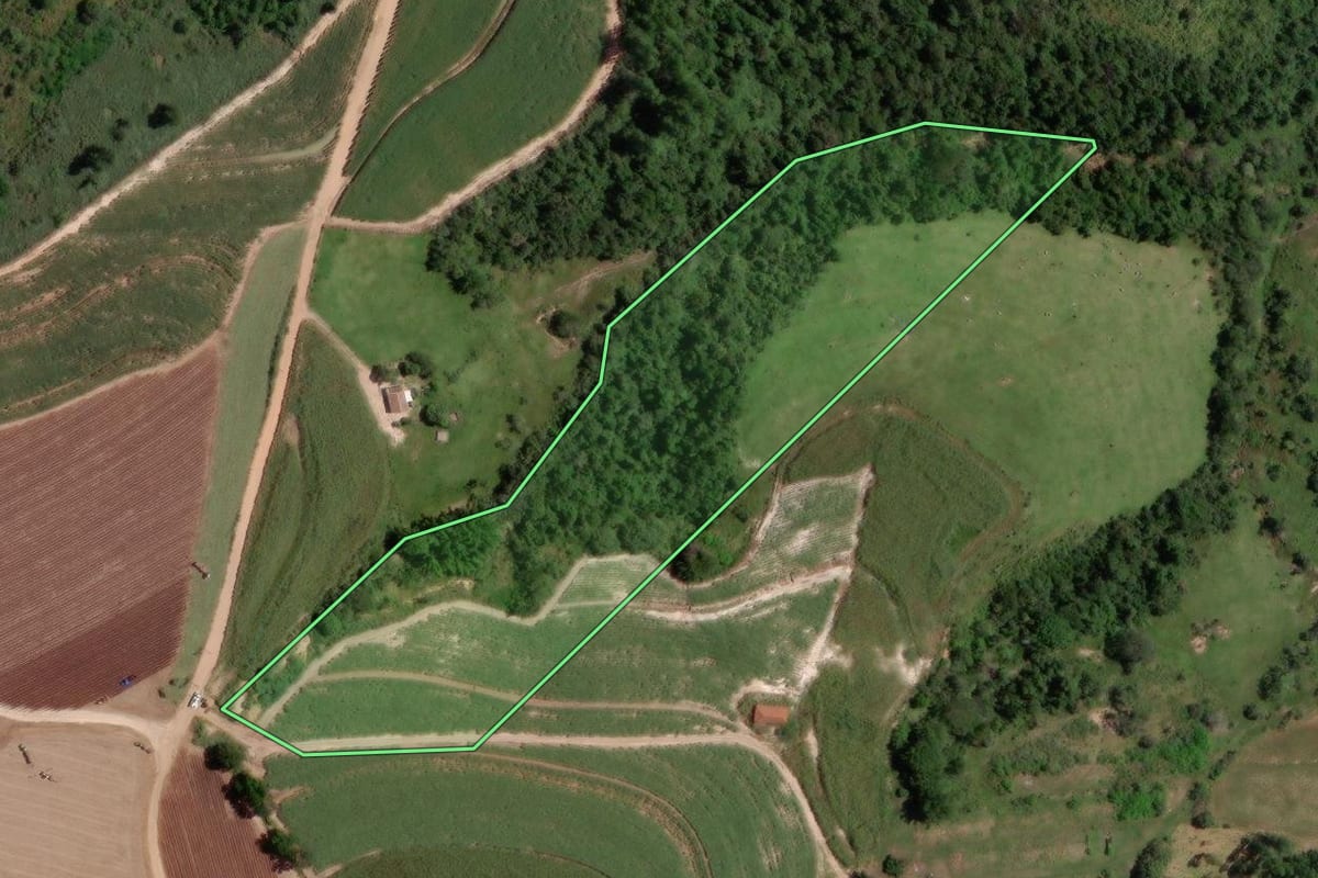 Imagem de satélite do imóvel rural em São Pedro (SP), com o contorno declarado no CAR desenhado por cima.