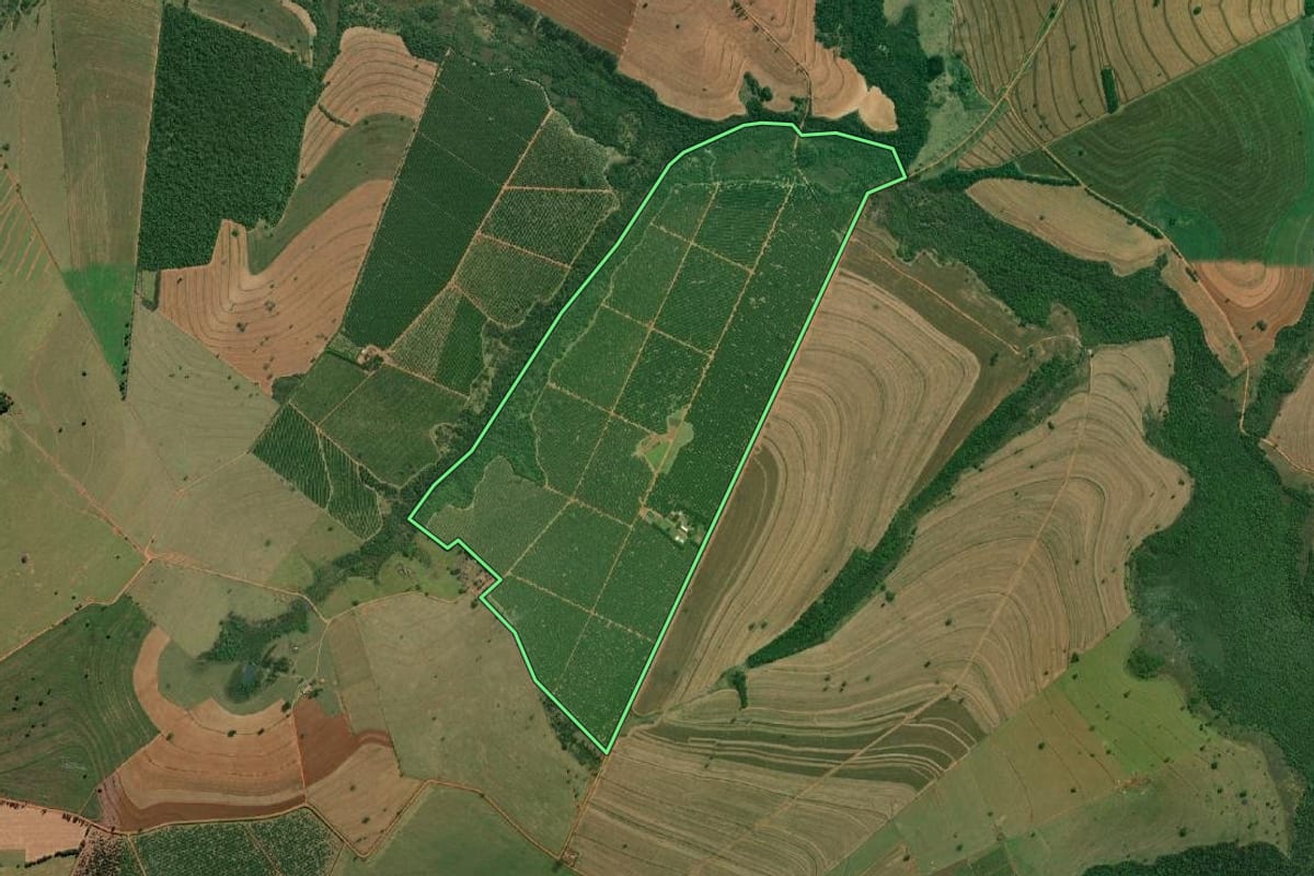 Imagem de satélite do imóvel rural em São Pedro do Turvo (SP), com o contorno declarado no CAR desenhado por cima.