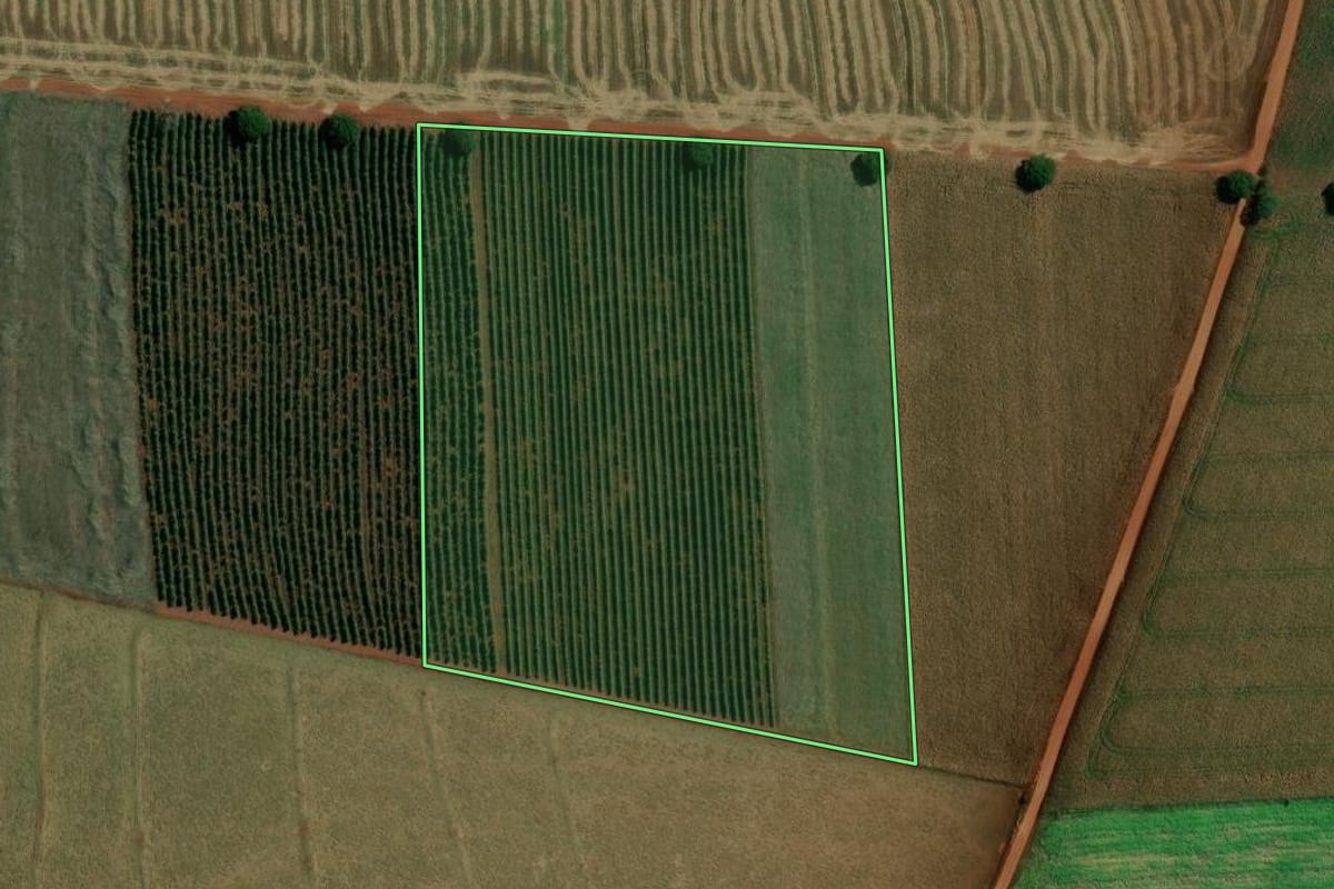 Imagem de satélite do imóvel rural em São Pedro do Turvo (SP), com o contorno declarado no CAR desenhado por cima.