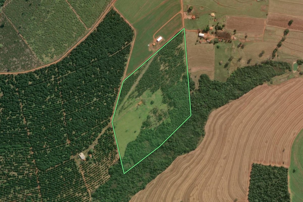 Imagem de satélite do imóvel rural em São Pedro do Turvo (SP), com o contorno declarado no CAR desenhado por cima.