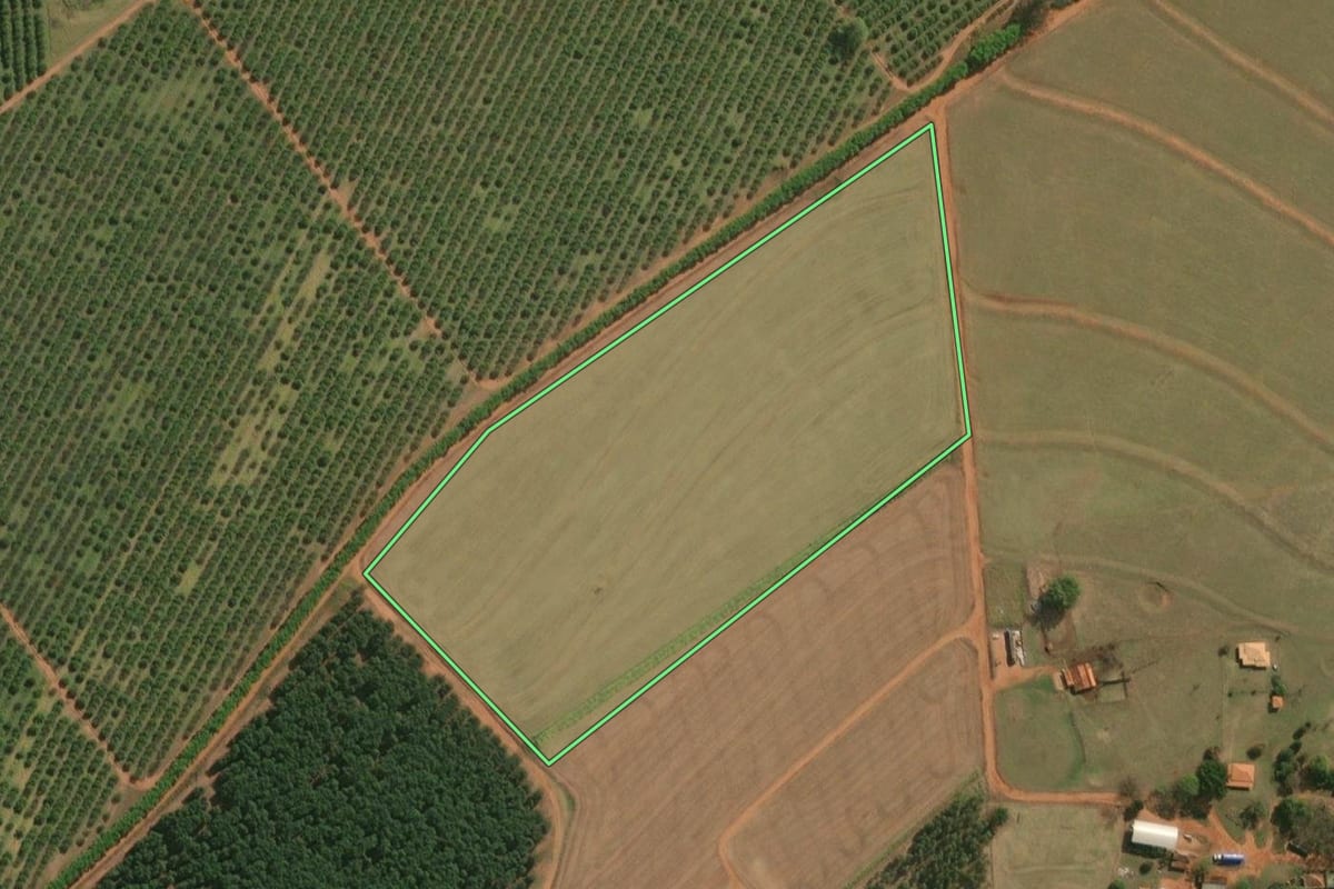 Imagem de satélite do imóvel rural em São Pedro do Turvo (SP), com o contorno declarado no CAR desenhado por cima.