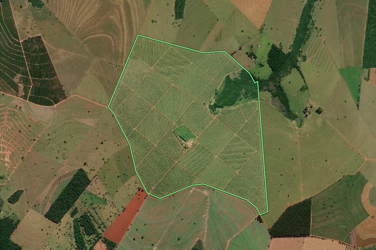 Imagem de satélite do imóvel rural em São Pedro do Turvo (SP), com o contorno declarado no CAR desenhado por cima.