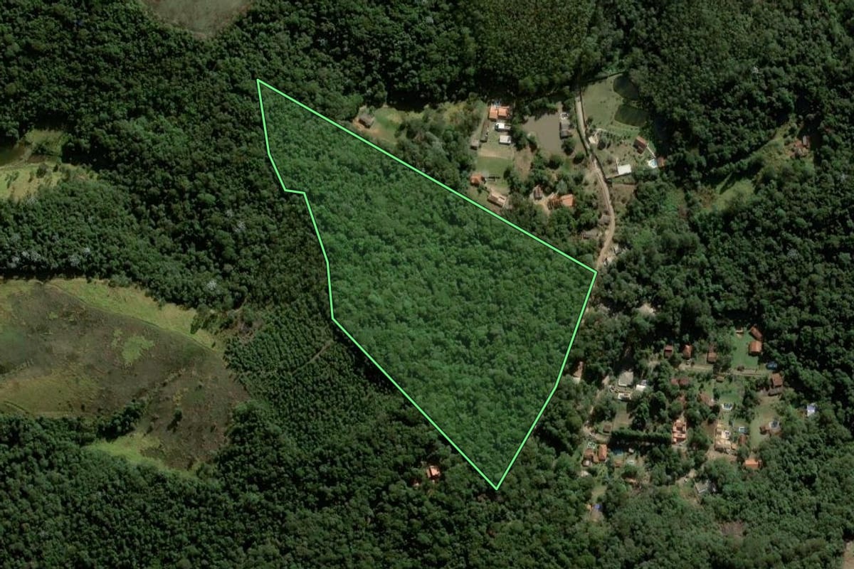 Imagem de satélite do imóvel rural em São Roque (SP), com o contorno declarado no CAR desenhado por cima.