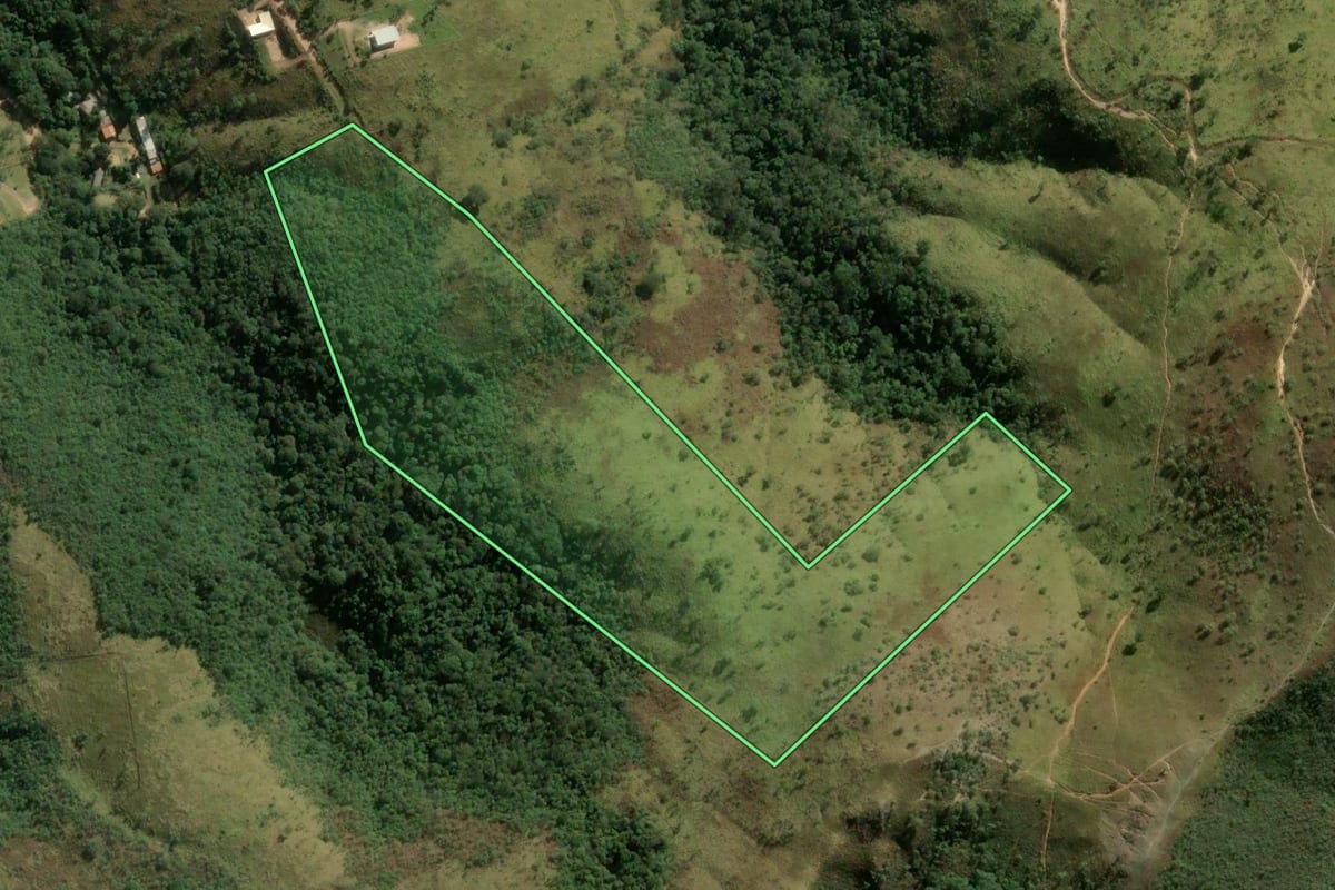 Imagem de satélite do imóvel rural em São Roque (SP), com o contorno declarado no CAR desenhado por cima.