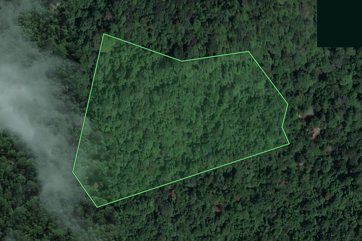 Imagem de satélite do imóvel rural em São Sebastião (SP), com o contorno declarado no CAR desenhado por cima.
