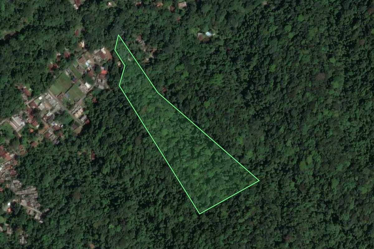 Imagem de satélite do imóvel rural em São Sebastião (SP), com o contorno declarado no CAR desenhado por cima.