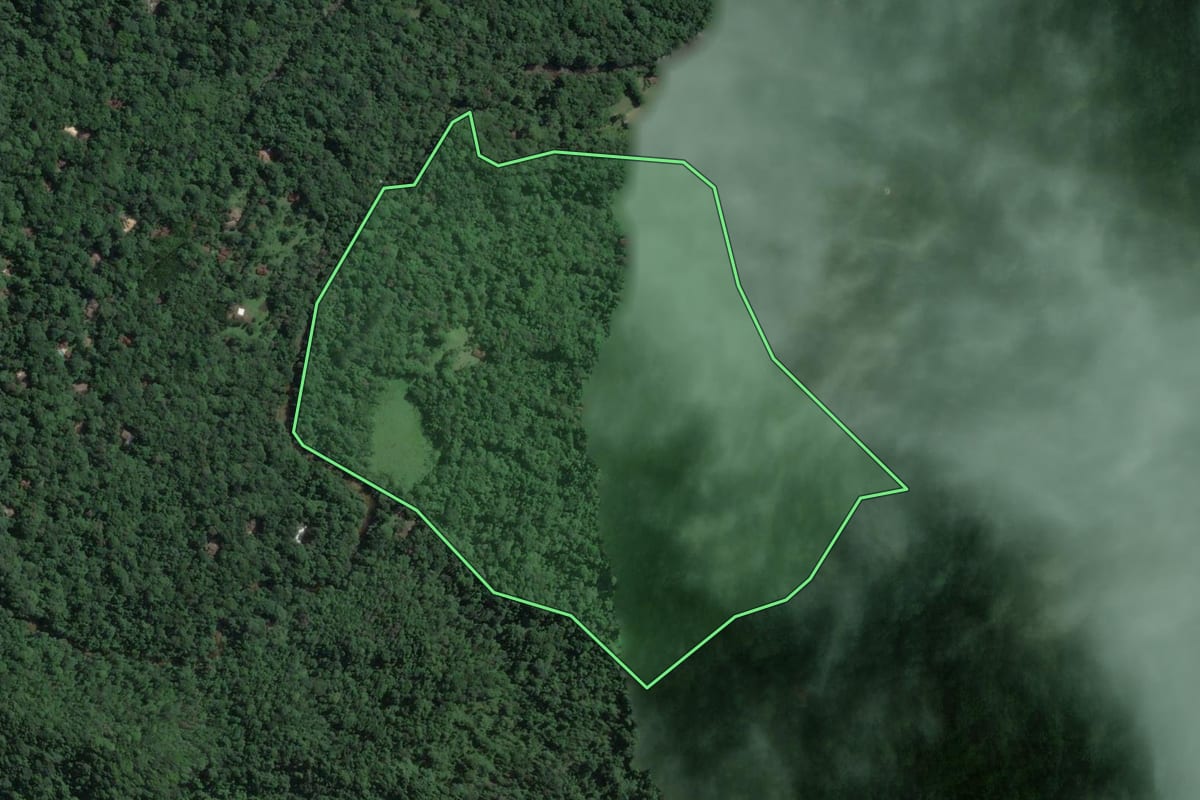 Imagem de satélite do imóvel rural em São Sebastião (SP), com o contorno declarado no CAR desenhado por cima.
