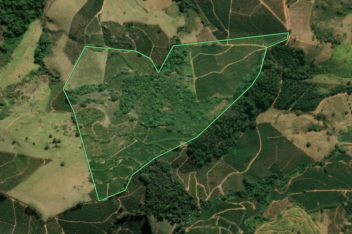 Imagem de satélite do imóvel rural em São Sebastião da Grama (SP), com o contorno declarado no CAR desenhado por cima.