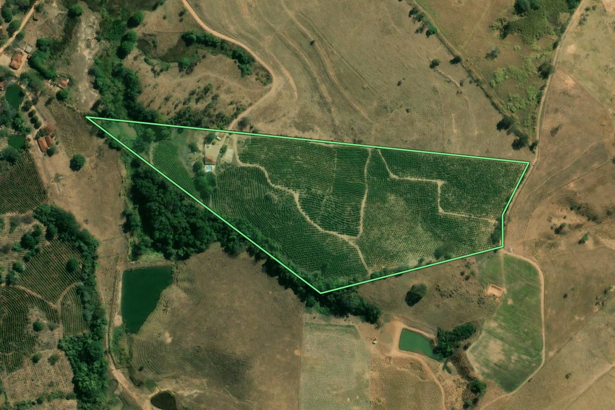 Imagem de satélite do imóvel rural em São Sebastião da Grama (SP), com o contorno declarado no CAR desenhado por cima.