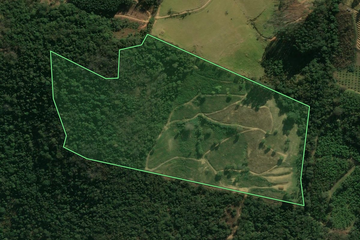 Imagem de satélite do imóvel rural em São Sebastião da Grama (SP), com o contorno declarado no CAR desenhado por cima.
