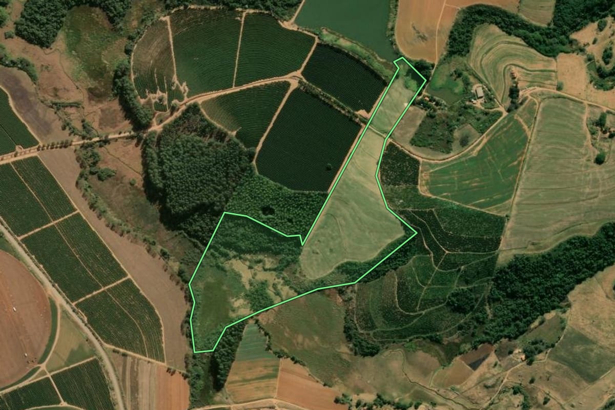 Imagem de satélite do imóvel rural em São Sebastião da Grama (SP), com o contorno declarado no CAR desenhado por cima.