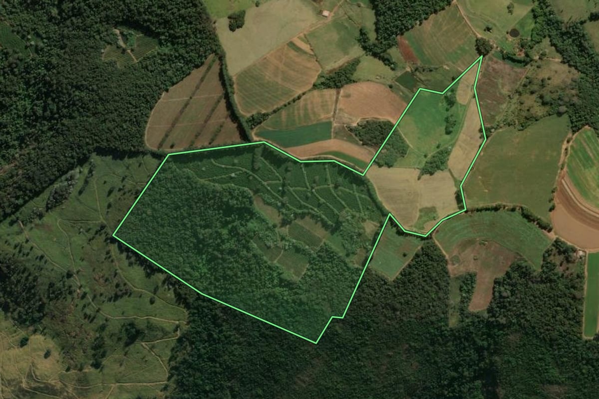 Imagem de satélite do imóvel rural em São Sebastião da Grama (SP), com o contorno declarado no CAR desenhado por cima.