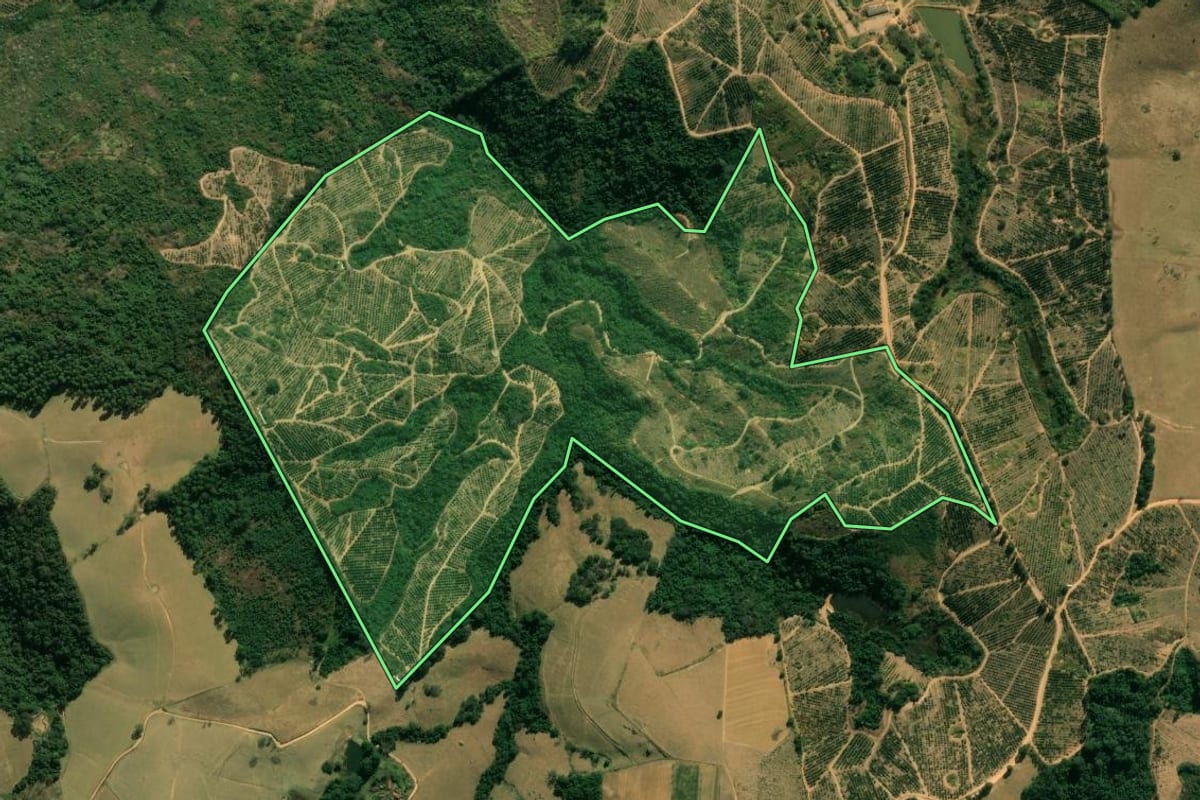 Imagem de satélite do imóvel rural em São Sebastião da Grama (SP), com o contorno declarado no CAR desenhado por cima.