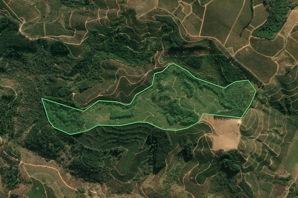 Imagem de satélite do imóvel rural em São Sebastião da Grama (SP), com o contorno declarado no CAR desenhado por cima.