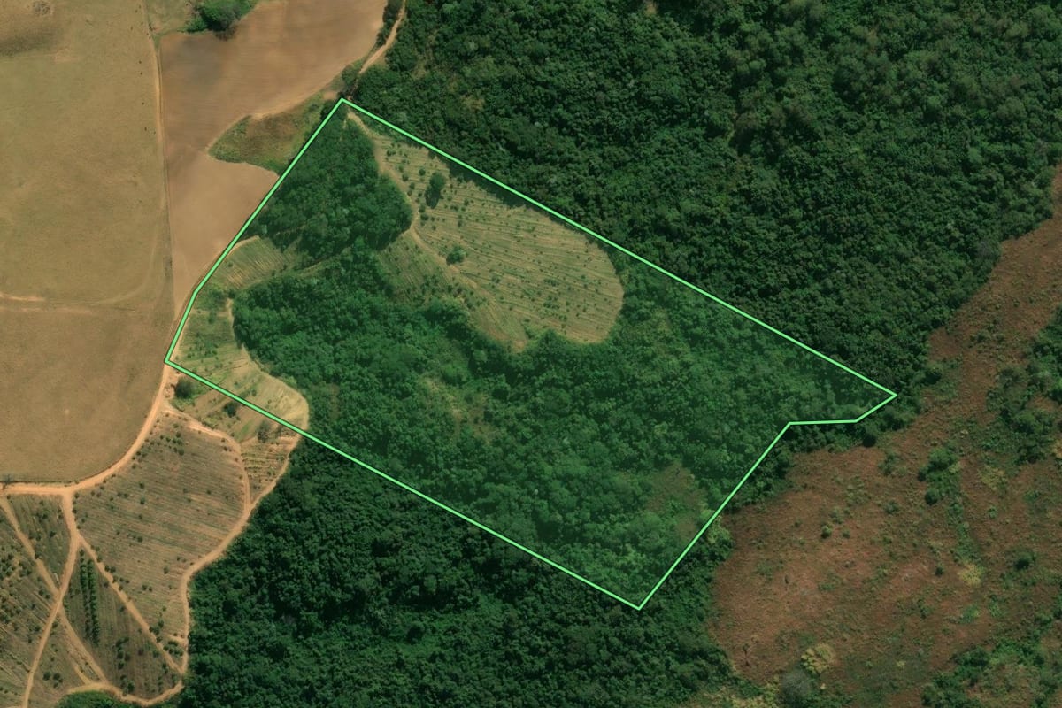 Imagem de satélite do imóvel rural em São Sebastião da Grama (SP), com o contorno declarado no CAR desenhado por cima.
