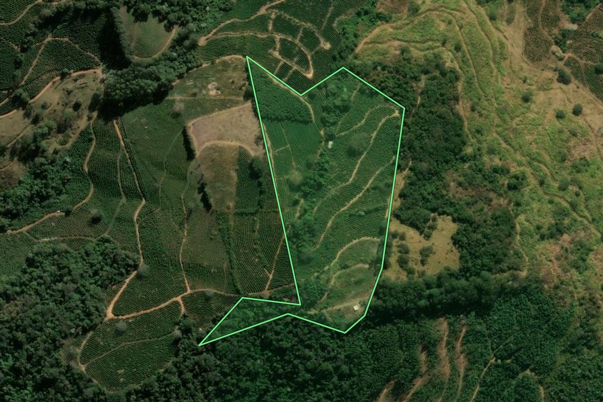 Imagem de satélite do imóvel rural em São Sebastião da Grama (SP), com o contorno declarado no CAR desenhado por cima.