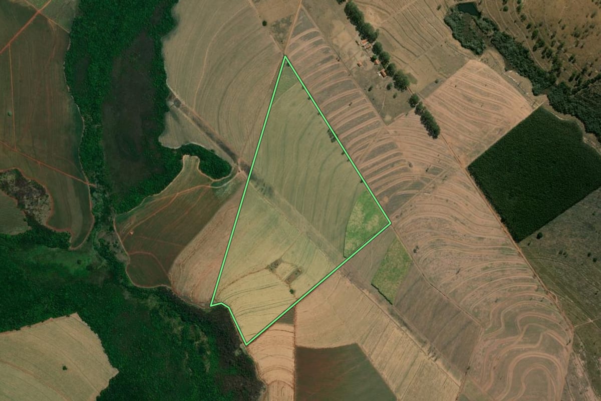 Imagem de satélite do imóvel rural em São Simão (SP), com o contorno declarado no CAR desenhado por cima.