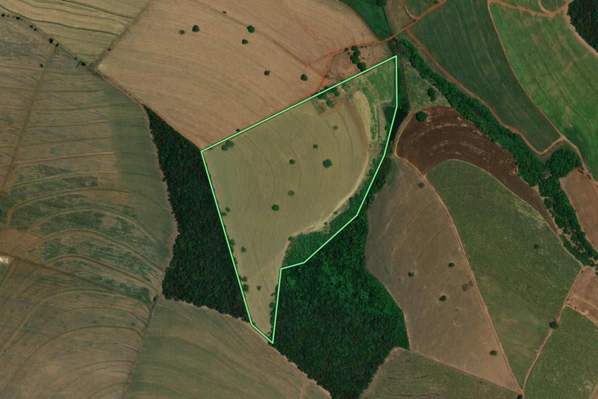 Imagem de satélite do imóvel rural em São Simão (SP), com o contorno declarado no CAR desenhado por cima.