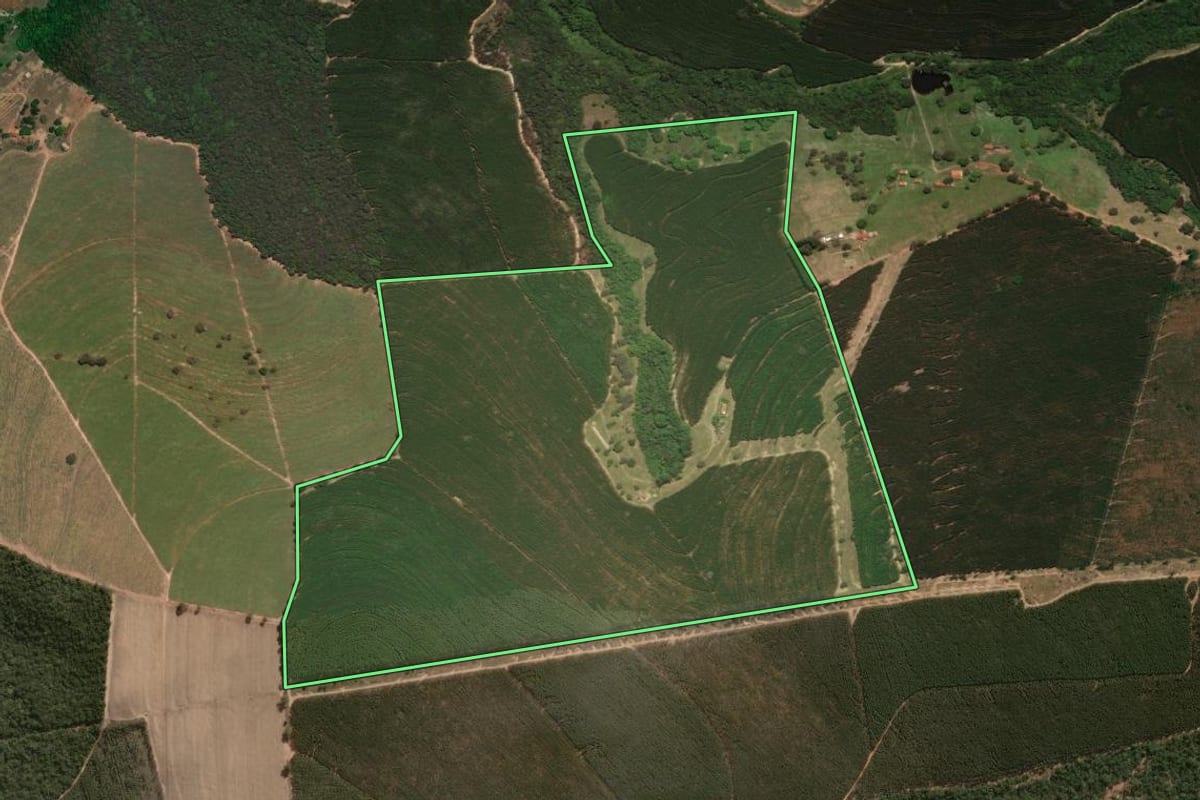 Imagem de satélite do imóvel rural em São Simão (SP), com o contorno declarado no CAR desenhado por cima.