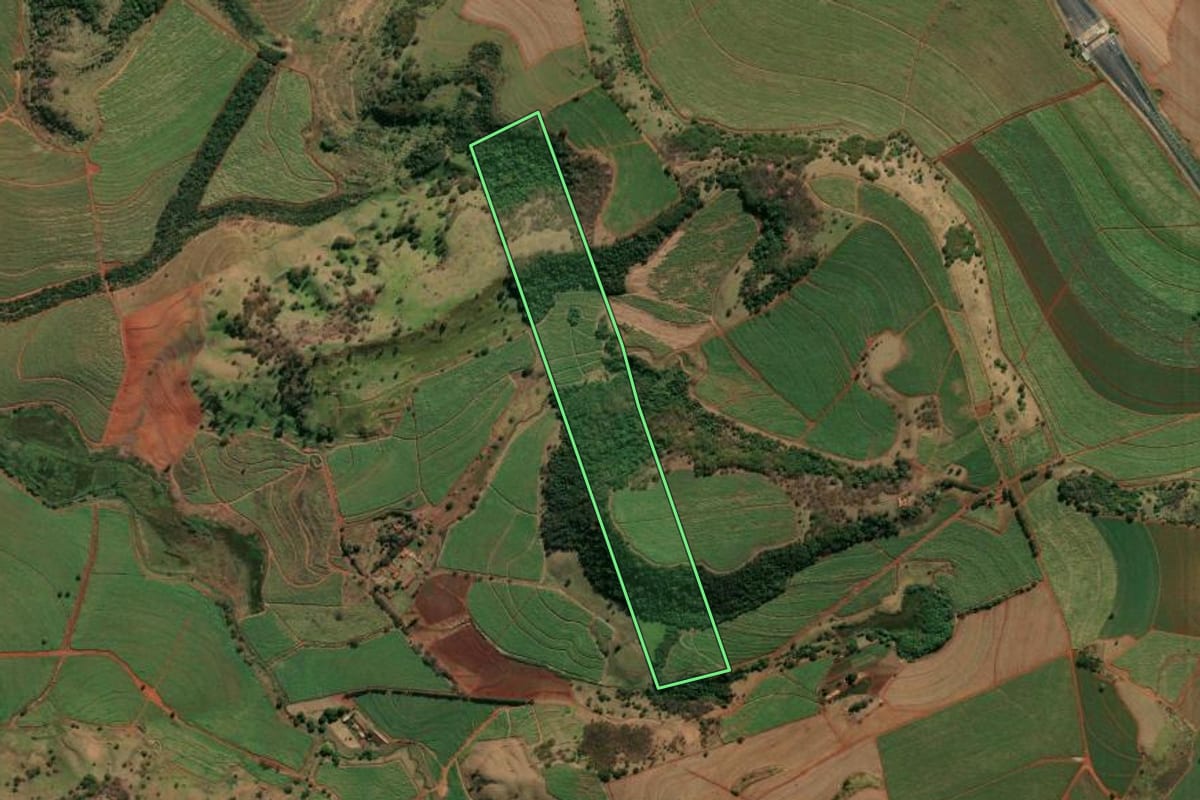 Imagem de satélite do imóvel rural em São Simão (SP), com o contorno declarado no CAR desenhado por cima.
