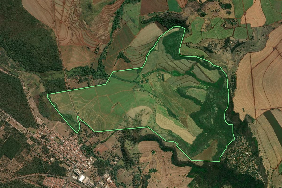 Imagem de satélite do imóvel rural em São Simão (SP), com o contorno declarado no CAR desenhado por cima.