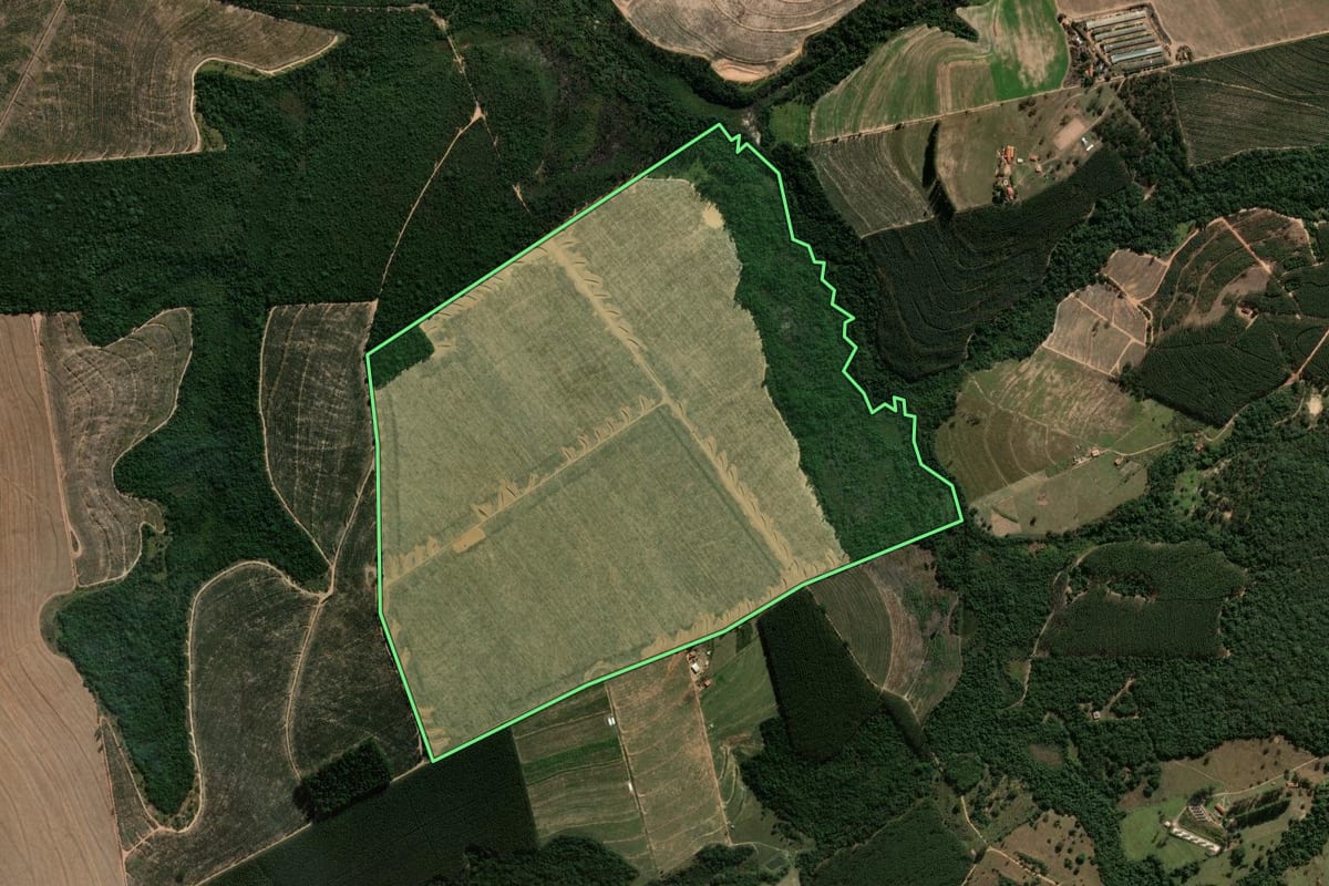 Imagem de satélite do imóvel rural em São Simão (SP), com o contorno declarado no CAR desenhado por cima.