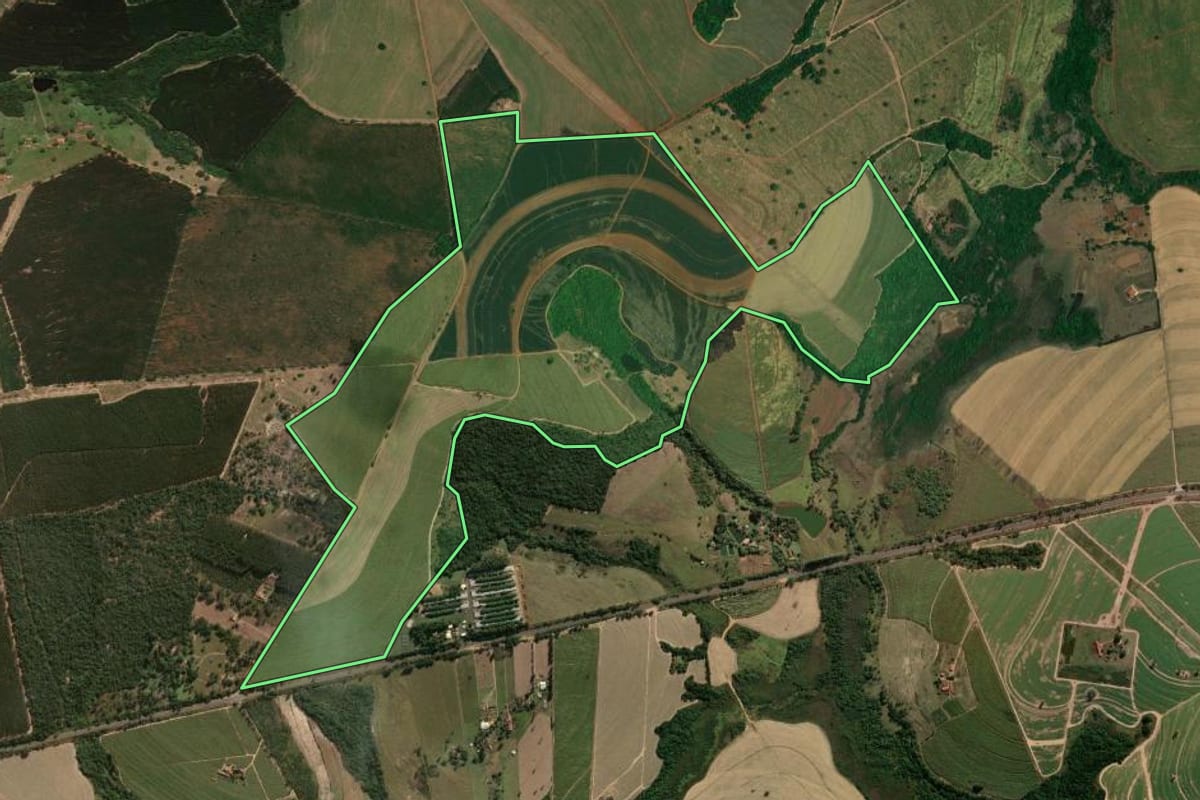 Imagem de satélite do imóvel rural em São Simão (SP), com o contorno declarado no CAR desenhado por cima.