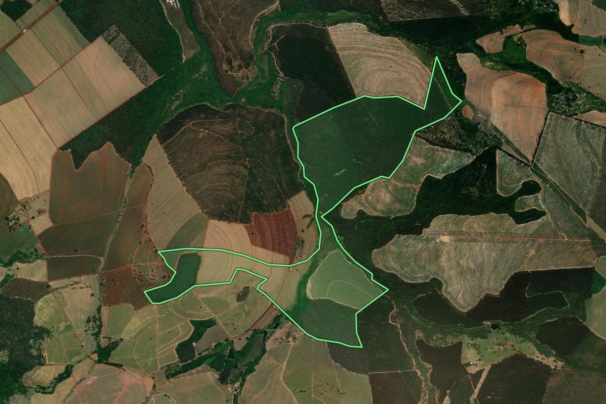 Imagem de satélite do imóvel rural em São Simão (SP), com o contorno declarado no CAR desenhado por cima.