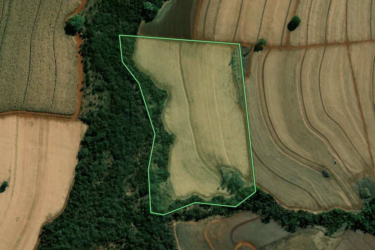 Imagem de satélite do imóvel rural em São Simão (SP), com o contorno declarado no CAR desenhado por cima.