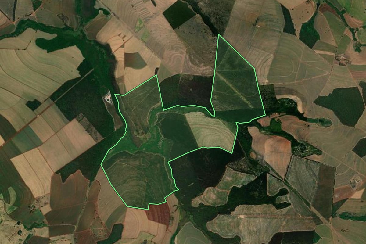 Imagem de satélite do imóvel rural em São Simão (SP), com o contorno declarado no CAR desenhado por cima.
