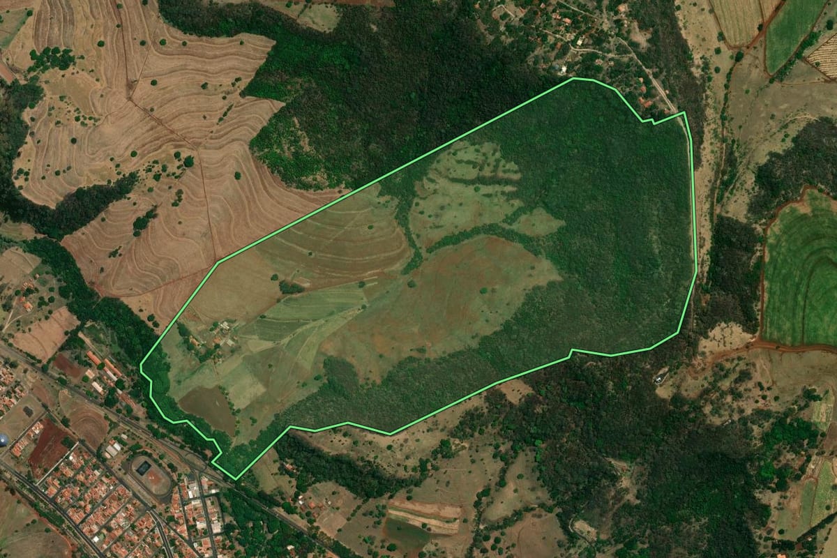 Imagem de satélite do imóvel rural em São Simão (SP), com o contorno declarado no CAR desenhado por cima.