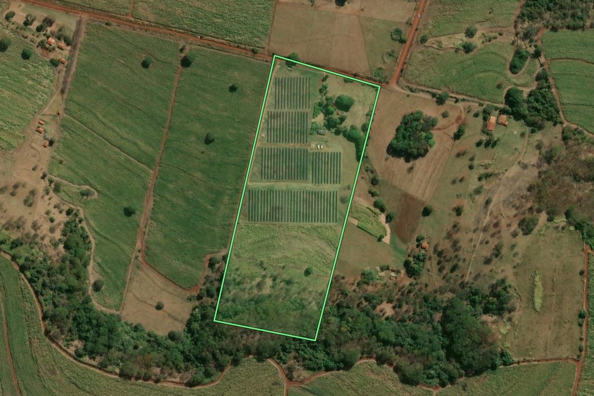 Imagem de satélite do imóvel rural em São Simão (SP), com o contorno declarado no CAR desenhado por cima.